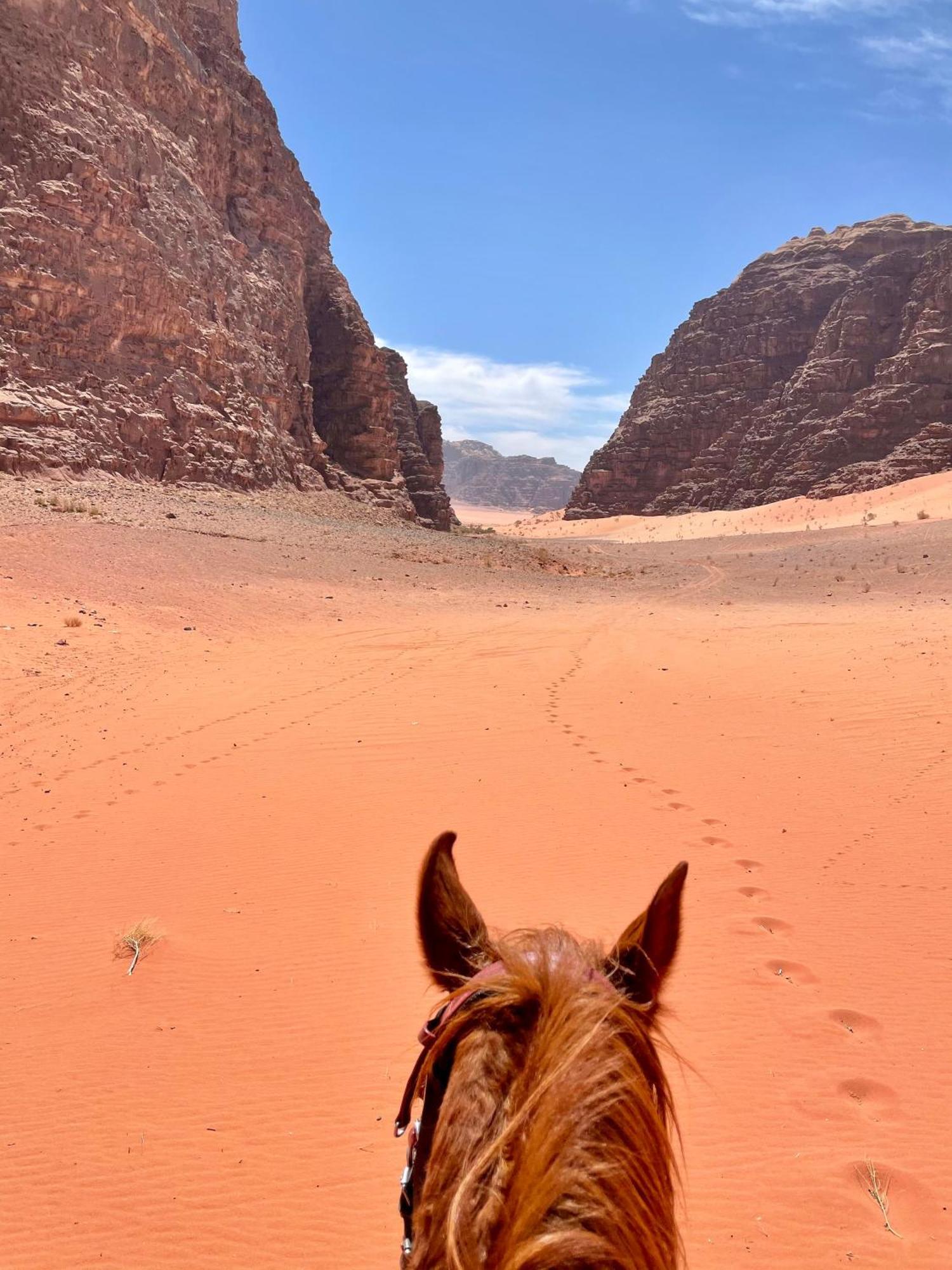 Salameh'S Bedouin Camp Hotell Wadi Rum Exteriör bild