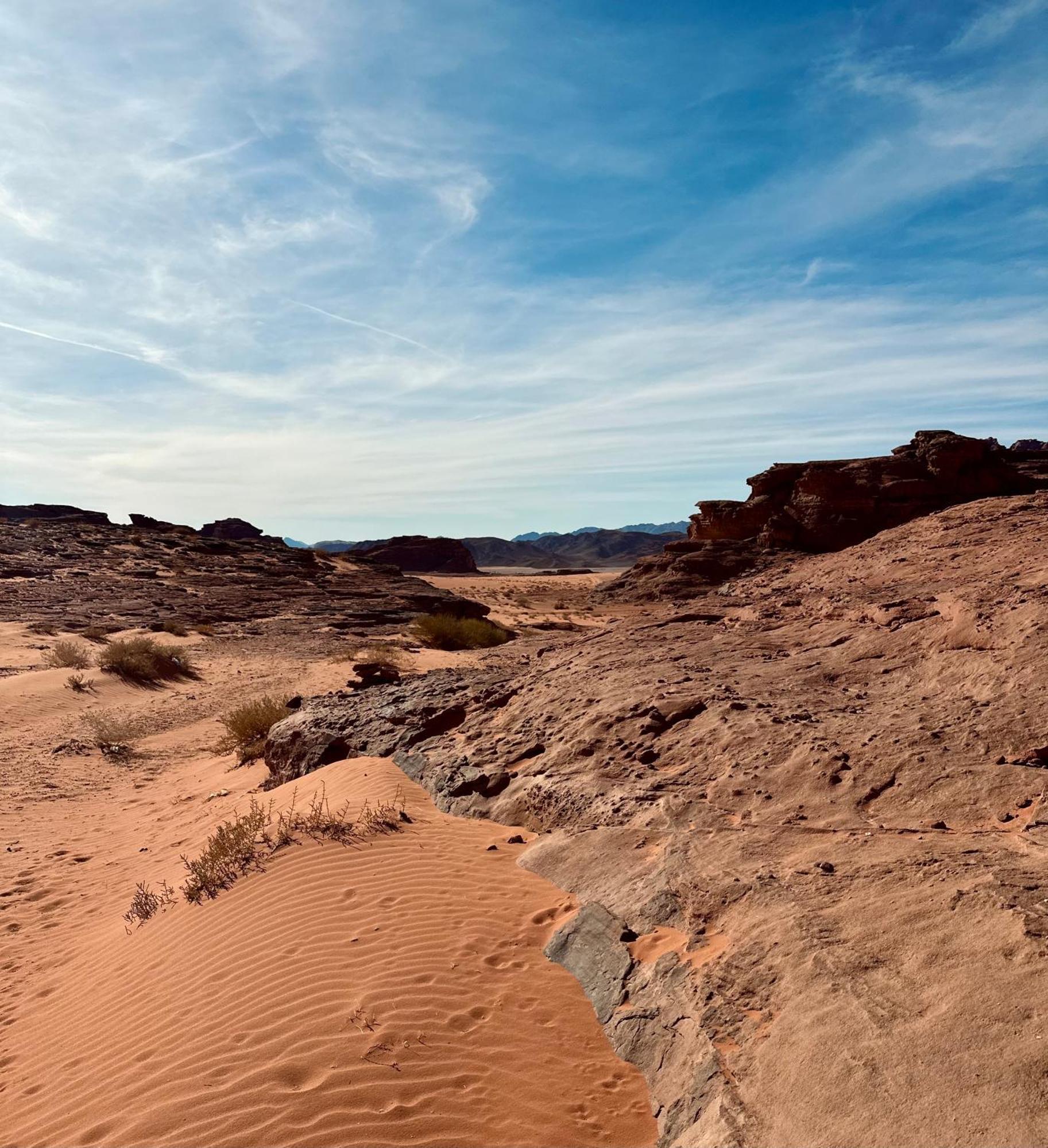 Salameh'S Bedouin Camp Hotell Wadi Rum Exteriör bild