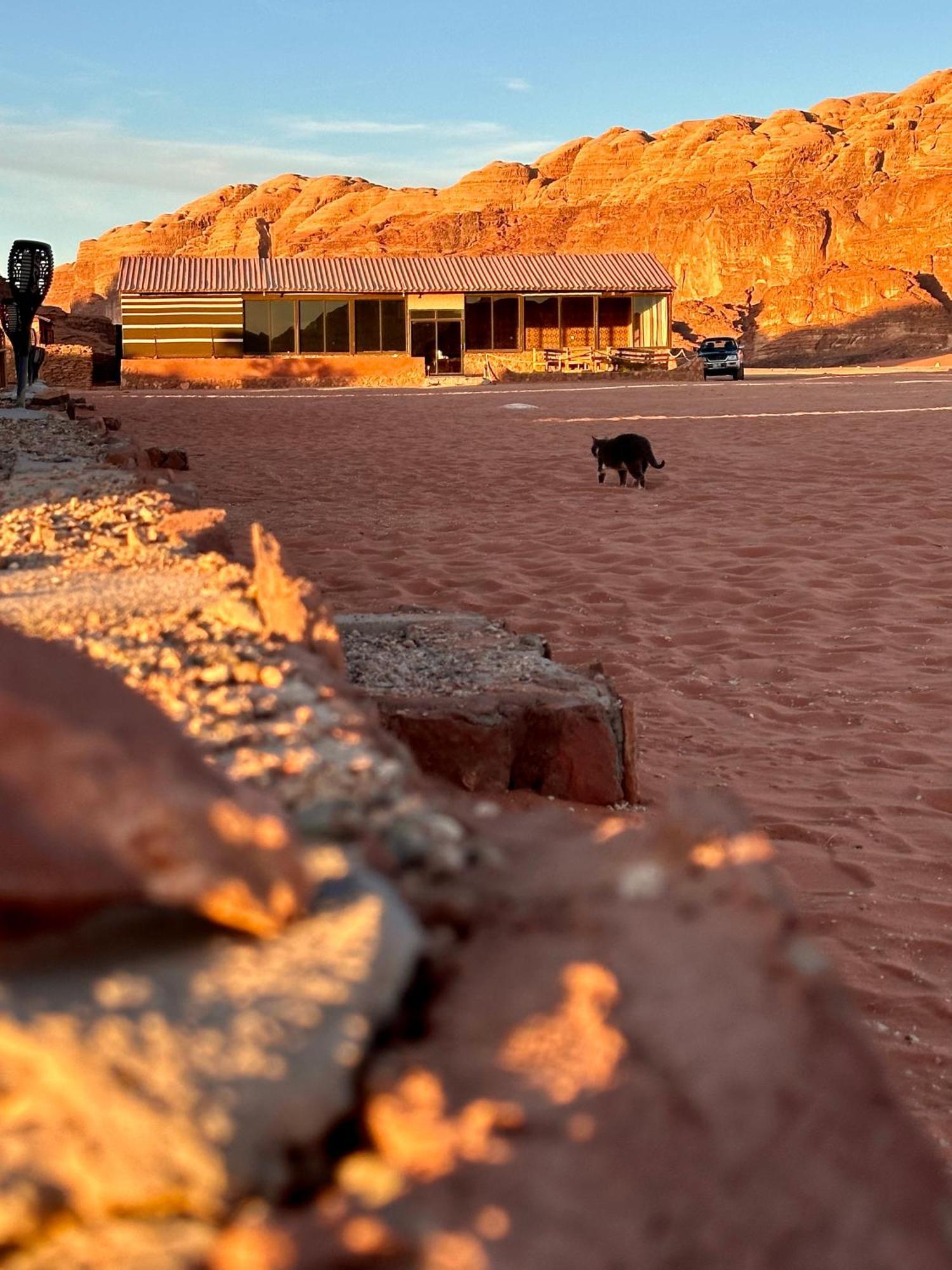 Salameh'S Bedouin Camp Hotell Wadi Rum Exteriör bild
